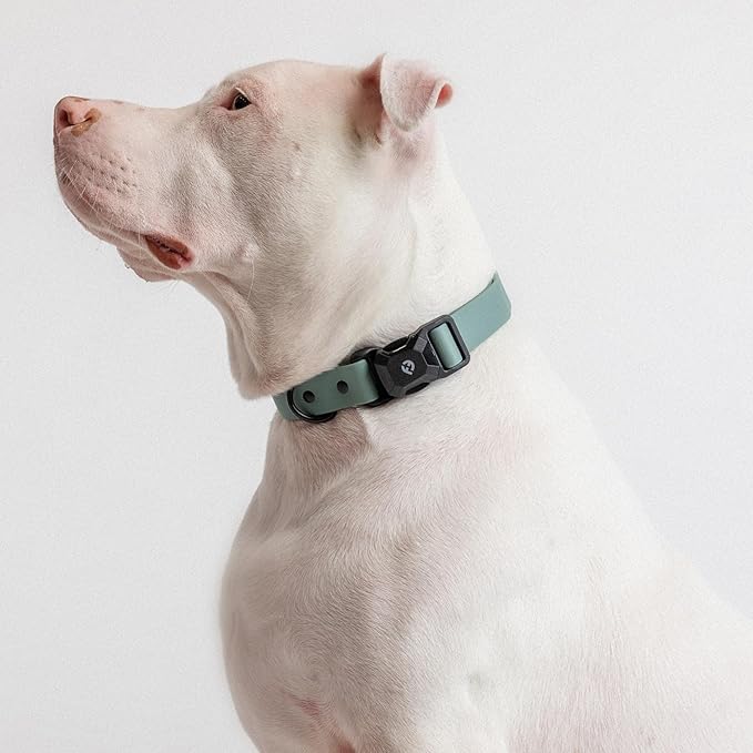 2025 New Edition, Fei & Eve PVC MagEase Dog Collar - Patented Magnetic Buckles | Fur-Safe | 450LB Escape-Proof | Adjustable Fit | Medium (Glacier Green)