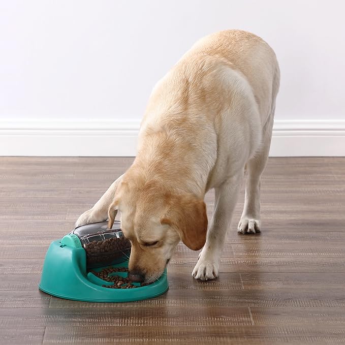 Outward Hound by Nina Ottosson Spin N' Eat Dog Puzzle and Slow Feeder, Level 2 Intermediate Enrichment Toy, Green
