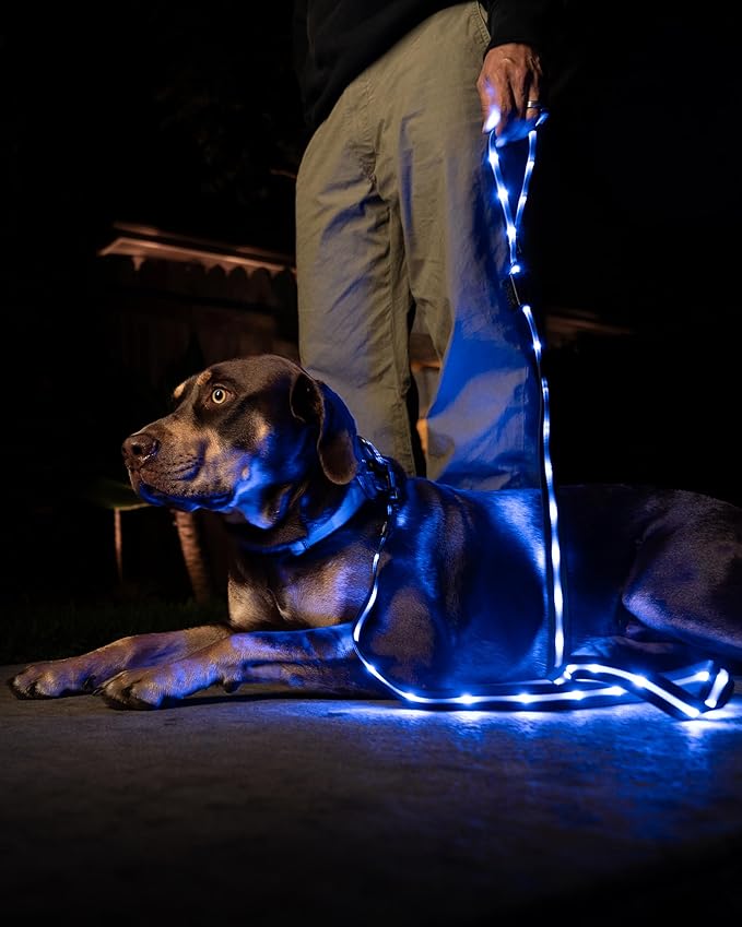 Luminoid LED Dog Leash | 6 ft | USB Rechargeable | 12 Multi-Color Animated Effects | Ultra-Bright LEDs Light-up Leash Keeps You & Dog Safe - by Glowy Zoey