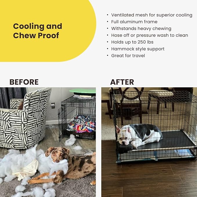 K9 Ballistics Chew Proof Elevated Outdoor Cooling Cot Bed for Medium Dogs - Virtually Indestructible, Preassembled, Withstands Aggressive Chewers - M, Black Mesh