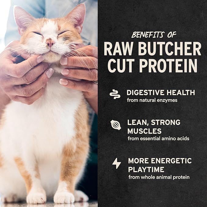 Vital Essentials Chicken Giblets Cat Treats, 1 oz | Freeze-Dried Raw | Single Protein | Grain Free, Gluten Free, Filler Free