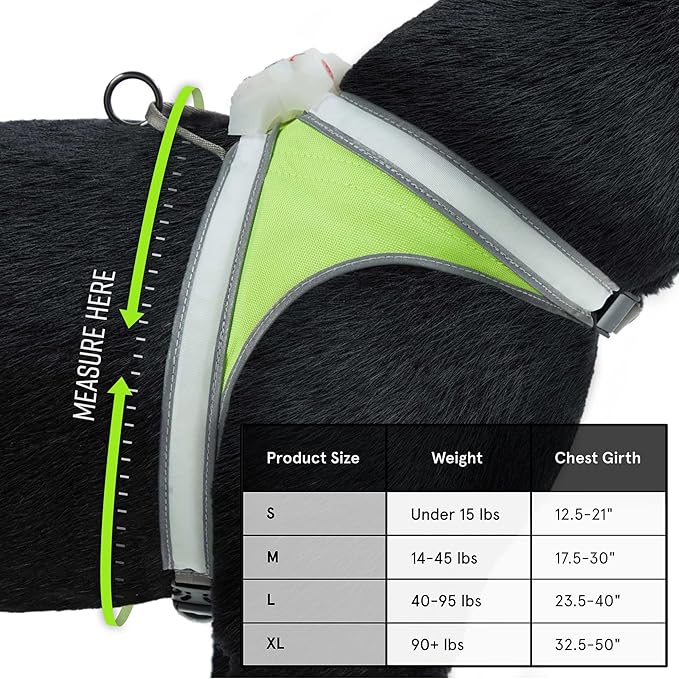 Noxgear LightHound (Medium) + High-Visibility Dog Leash – Illuminated and Reflective Harness for Dogs Including Multicolored LED Fiber Optics (USB Rechargeable, Adjustable, Lightweight, Rainproof)