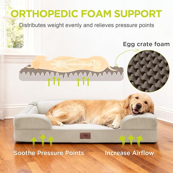 Orthopedic Dog Beds for Large Medium Dogs, Big Waterproof Memory Foam Pet Couch Bed with Removable Washable Cover, Tennis Ball Toy, 36x27