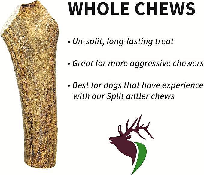 Medium Whole Twin Pack (for 20-45 lb Dogs and Puppies) Premium Grade Elk Antlers for Dogs (2 Pieces) Sourced in The USA