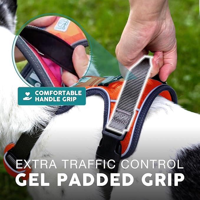 Embark Adventure Dog Harness, No-Pull Reflective Trim Dog Harness for Small, Medium & Large Dogs - Heavy Duty Oxford, 2 Leash Clips & Gel Lined Handle. Soft & Padded Puppy Dog Vest for Any Breed