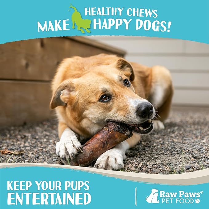 Raw Paws Smoked Beef Marrow Bones for Dogs - 6-Inch (4-Count) Packed in USA - Beef Bones - Bone Marrow Treats for Dog - Dog Chew for Aggressive Chewers