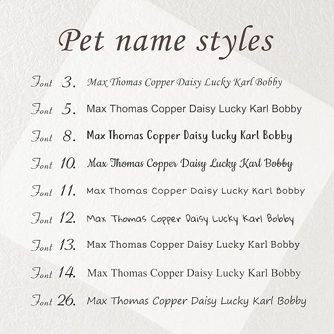 Anavia Slide On Silent Pet ID Tags, S/M/L/XL Personalized Black Stainless Steel Colored Silicone Cat Dog Name Tag, Customized Engraved Nameplate, Quiet Chew-Proof Pet Collar Tag (Blue, Large)