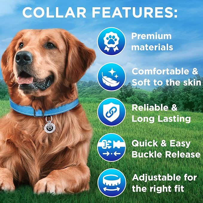 TECEUM Reflective Dog Collar – Sky Blue – S – Extra Soft Padding – Basic Nylon Pet Collar – Quick Release Buckle – Fits Small, Medium and Large Dogs, Puppies, Cats – ESA & Service Dog Options