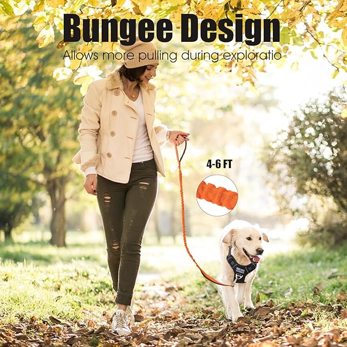 BUMBIN 6Ft Dog Leash - Large Dogs, Bungee Leash with 2 Handles, Heavy Duty, No Pull Shock Absorbing, Orange