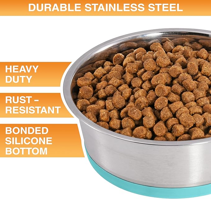 Neater Pet Brands Stainless Steel Dog Bowls with Non-Slip Rubber Bottom – Set of 2, 4 Cup (32 oz), Teal - Heavy Duty Metal Dog Bowl, Dishwasher Safe, Food or Water Bowl, Ideal for Medium Dogs