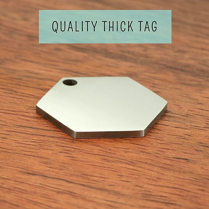 Ultra Joys Stainless Steel Pet ID Tag Dog Name Tags Personalized Front and Back Engraving, Customized Dog Tags and Cat Tags, Optional Engraved on Both Sides, Hexagon Tag Vine Design, Silver Large