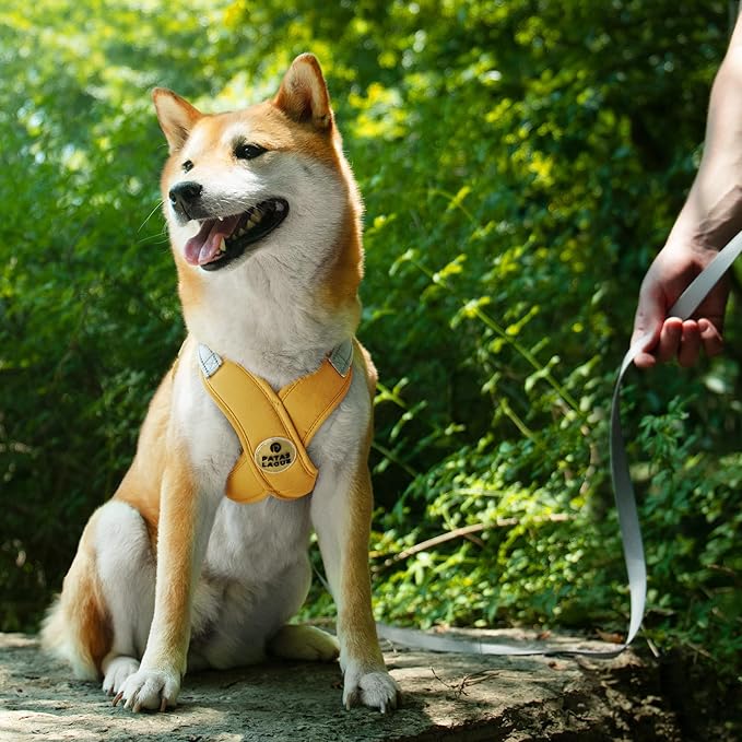 Patas Lague Dog Harness with Leash Set Adjustable Soft Padded Step-in Dog Vest No Choke No Pull Reflective for Small Pets with Poop Bags and Dispenser, Solid and No-chew, Yellow XS