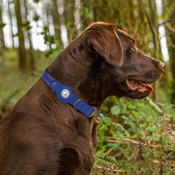 Reflective Leather Dog Collar with AirTag Holder - Soft Apple Airtag Dog Collar with Metal Buckle - Safety Cotton Pet Collars for Dogs Small Large Dogs Puppy (Blue, S, 12"-15")
