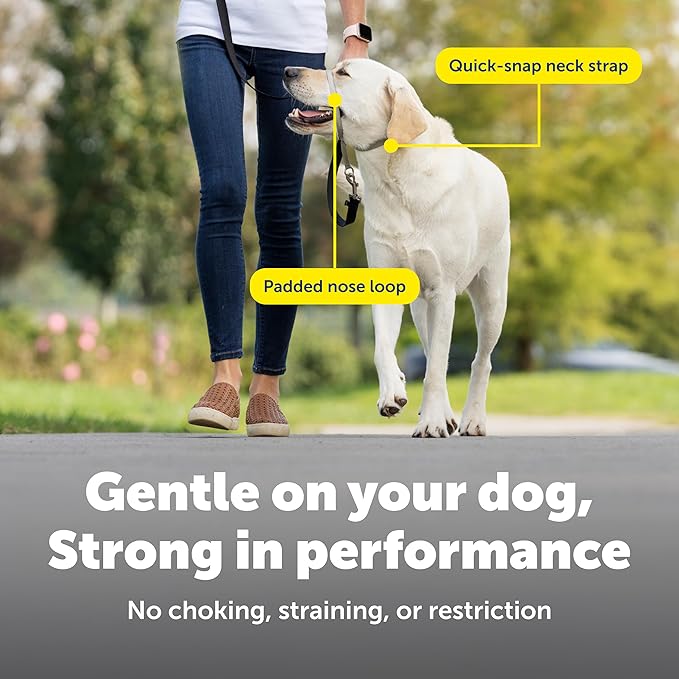 PetSafe Gentle Leader Headcollar No-Pull Dog Collar - Helps Improve Walks - Durable Nylon Construction - Padded Nose Loop - Adjustable Fit - Comfort Walking Halter - Large, Fawn