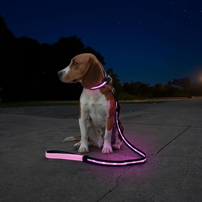 Sherry Kline LED Light-Up Pet Collar - USB Rechargeable - Flashing Glow in The Dark Size Large, Color: Pink
