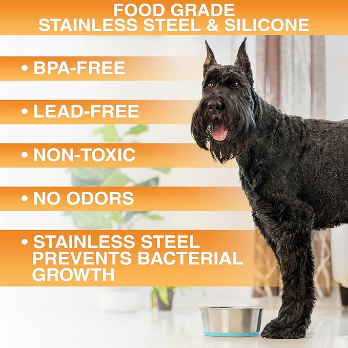 Neater Pet Brands Stainless Steel Dog Bowls with Non-Slip Rubber Bottom – 2 Cup (16 oz), Teal - Set of 2 Heavy Duty Metal Dog Bowls, Dishwasher Safe, Food or Water Bowl, Ideal for Small Dogs & Cats
