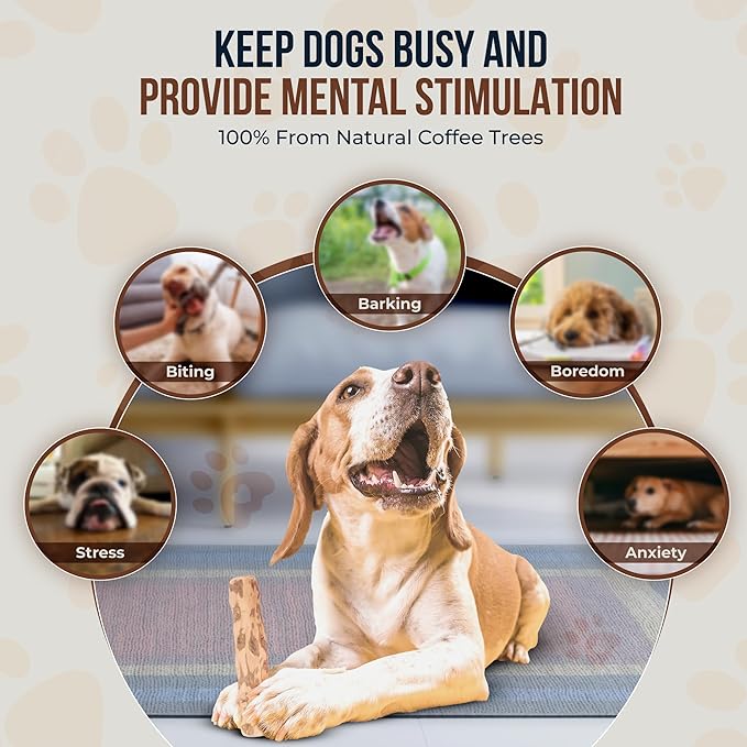 GOWGOW Coffee Wood Chew and Cotton Rope Toy for Dogs - 100% Natural, Organic Wood Stick for Chewers Teeth Cleaning, Training - Size M