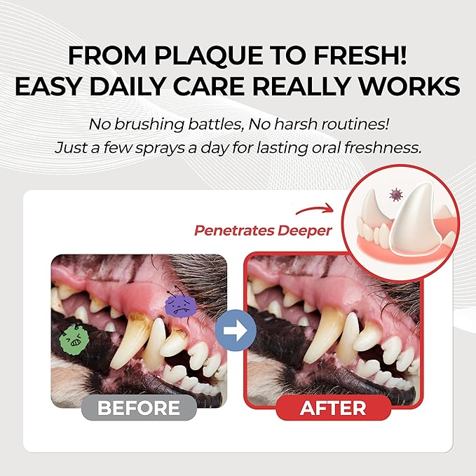 JAYU PET Dental Spray for Dogs & Cats, Tartar Control & Fresh Breath, No Brushing Needed, Protects Teeth & Gums, Easy Daily Oral Care, 1 fl oz