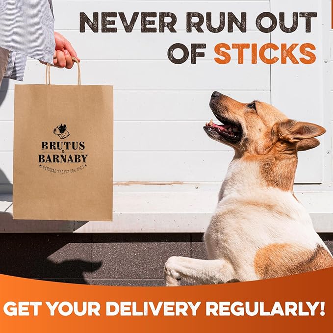 BRUTUS & BARNABY Bully Sticks for Dogs, 12" – Low-to-No Odor, Grass-Fed, Rawhide-Free Chews for Aggressive Power Chewers