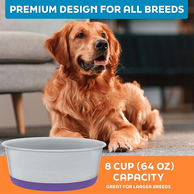 Master Pet Supply Stainless Steel Dog Bowls Set of 2 with Extra Thick Silicone Base - 8 Cup (64 oz) Plum Crazy, Non-Slip, Dishwasher Safe Metal Bowls, Pet Dog Food Bowl for Dogs, Cats, Anti Rust