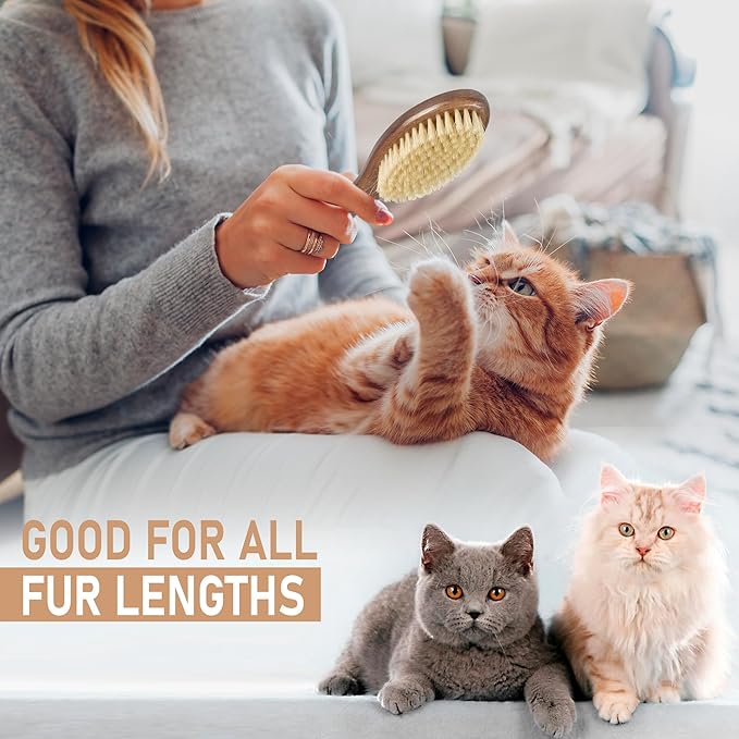 TAKAVU Natural White Boar Bristle Cat Brush - Gentle Grooming Tool for Sensitive Skin, Smoothing Fur & Healthy Shine - Soft Pet Brush