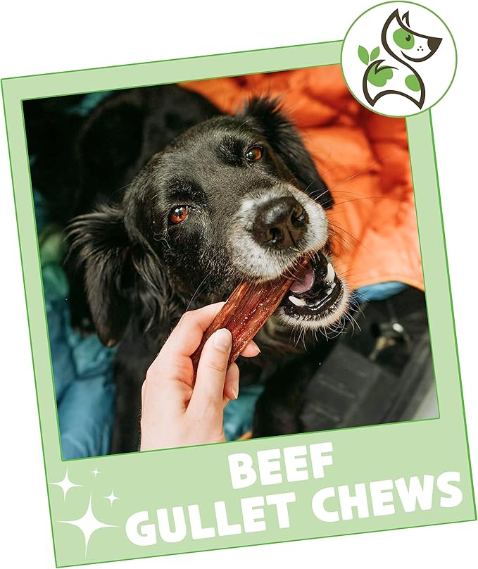 Nature Gnaws Beef Gullet Chews for Small Dogs 4-5" (10 Count) - Natural Beef Jerky Stick Dog Chew Treats - Rawhide Free