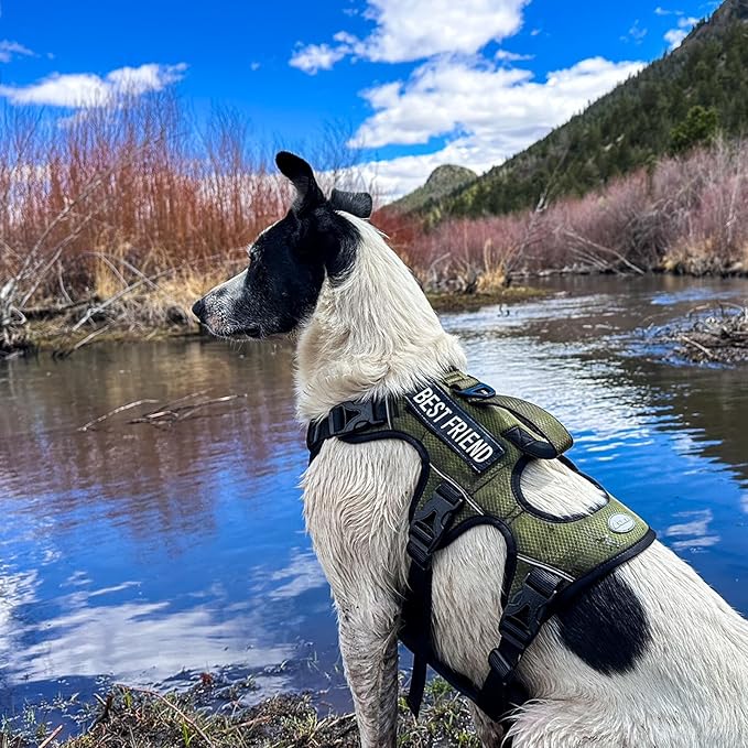 AUROTH Escape Proof Dog Harness - No Pull with Lift Handle, Soft Padded Reflective Adjustable Vest, Large for Walking, Hiking, Training