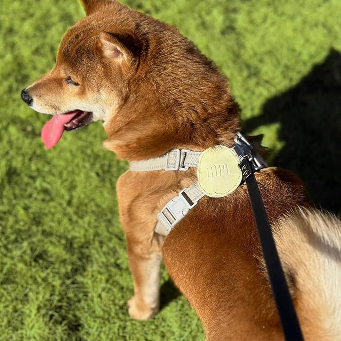 Dog Training Long Leash Waterproof Long Line Heavy Duty Outdoor Recall Lead 10ft 15ft 20ft 30ft 50ft for Small Medium Large Dog (Black, 15FT)