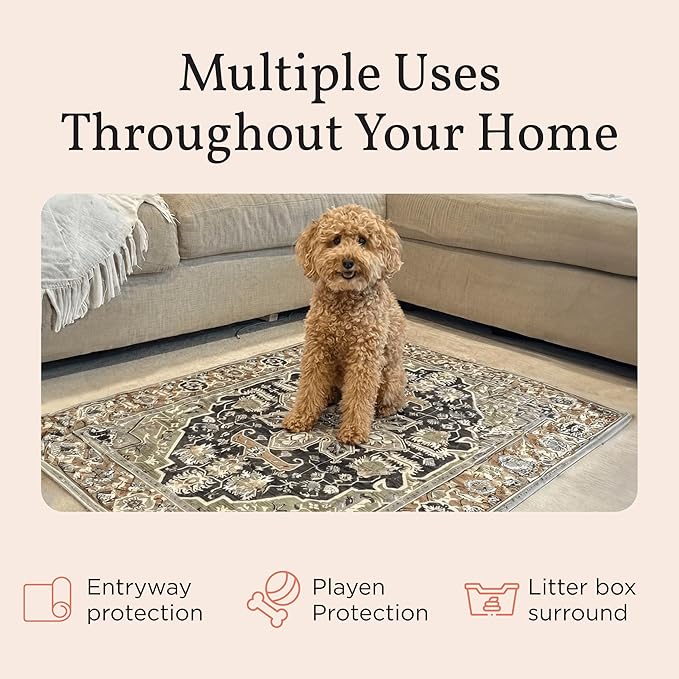 Stylish Waterproof Dog Mats for Muddy Paws - Decorative Washable Pet Floor Protectors - Large 36 x 48 Inch Rug-Look Pads - Machine Washable, Non-Slip Backing - 2 Pack (Rustic Terracotta)