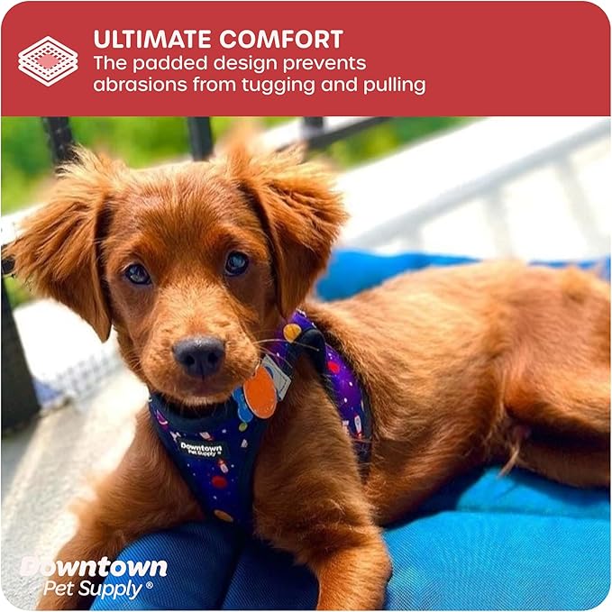 Downtown Pet Supply Step-in Dog Harness – No Pull, Adjustable Padded Mesh with Reflective Trim, Secure Buckle Strap – Comfortable & Breathable Small Dog Harness, Large, Space