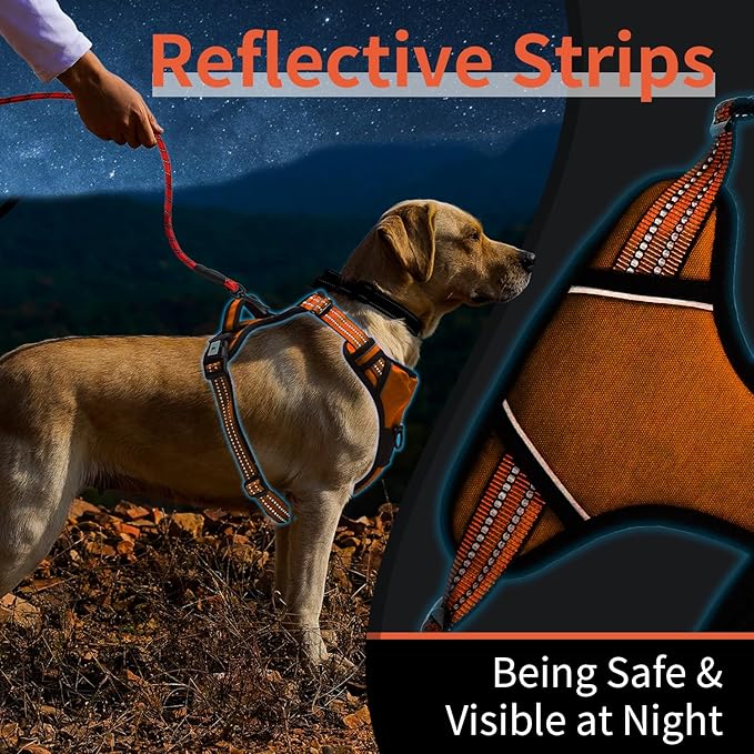 kazazoo Dog Harness, No-Pull Pet Breathable Harness, Adjustable Soft Padded Dog Vest with 2 Leash Clips, Reflective No-Choke Pet, Easy Control Handle for Large Dogs, Orange, XL
