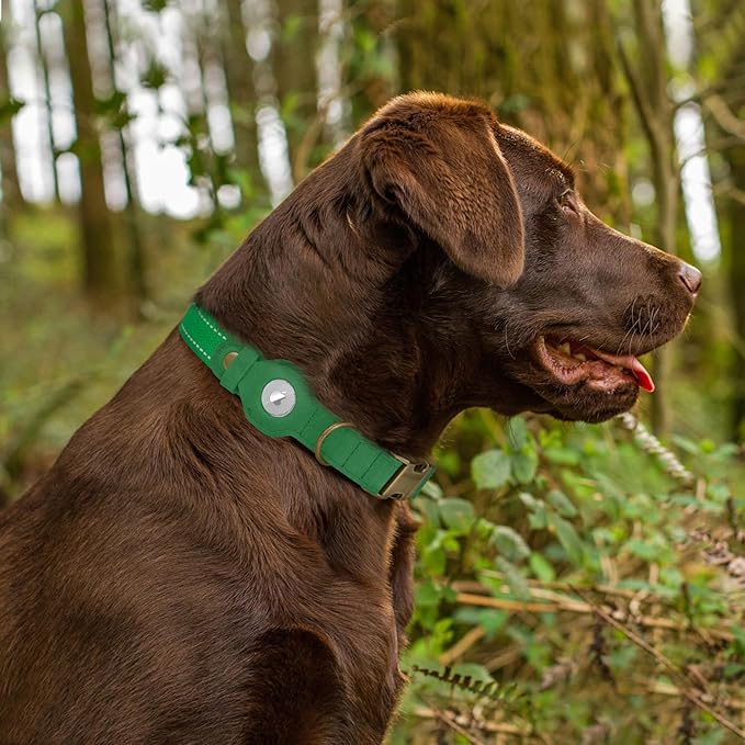Reflective Leather Dog Collar with AirTag Holder - Soft Apple Airtag Dog Collar with Metal Buckle - Safety Cotton Pet Collars for Dogs Small Large Dogs Puppy (Green, XS, 9"-12")