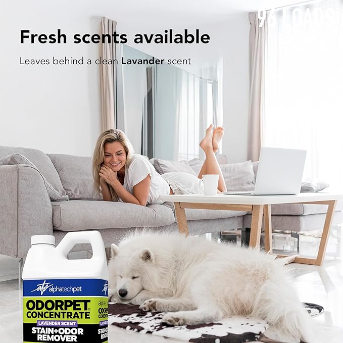 OdorPet Pet Stain Remover and Odor Eliminator - 64 Oz (Makes 2.55 Gallons of Working Solution) Non Staining, Professional Strength, Lavender Scent by Alpha Tech Pet