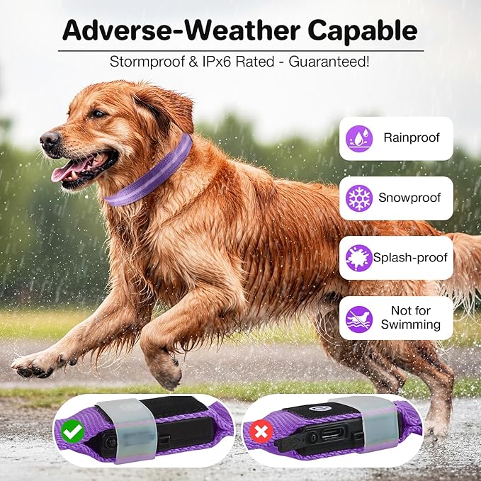 Fiveda Light Up Dog Collar, USB Rechargeable 6 Modes, Waterproof Charging Port, Long Lasting LED Collar - Adjustable Nylon Reflective for Dogs, Sizes S/M/L (7/9/11 Lights) - Purple, S