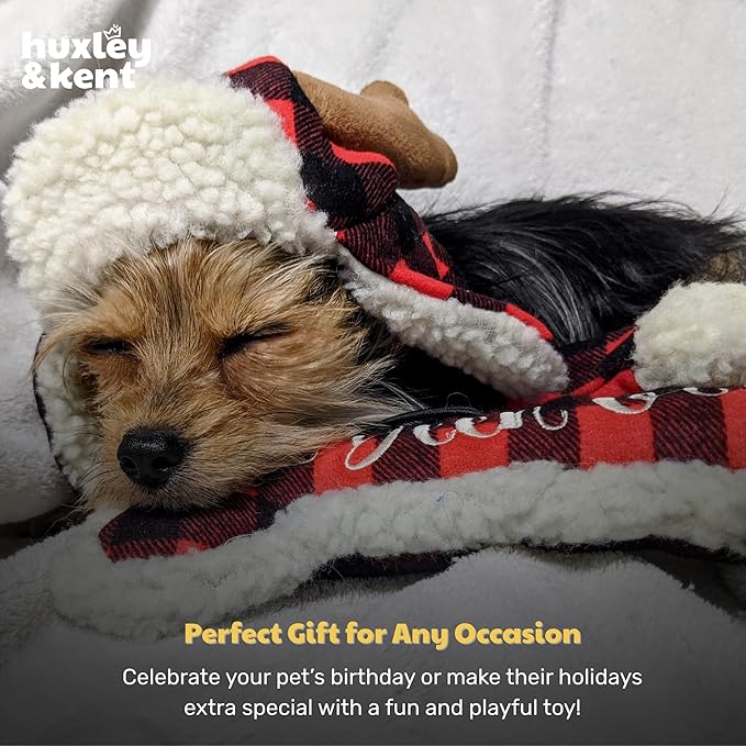 Huxley & Kent Funny Dog Toy w/Squeaker – Holiday Power Plush Squeaky Dog Toys for Small, Medium & Large Dogs – Soft Stuffed Animal for Indoor Play & Fetch - I've Been Good Bone, Small