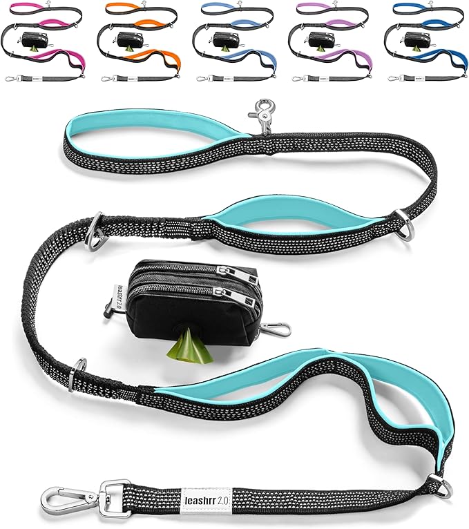 No Pull Dog Leash for Large Dogs – 6ft Highly Reflective Bungee, Heavy Duty Leash for Large Dogs, 4 Padded Handles, Strong Carabiner Clip & Rings, Includes Poop Bag Holder & Treat Pouch (Teal)
