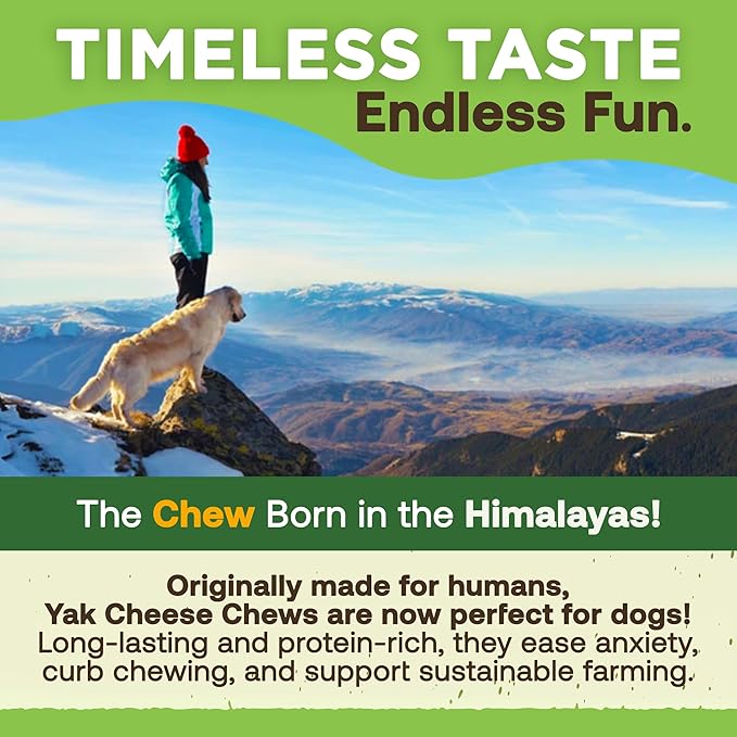 EcoKind Premium Gold Yak Cheese Himalayan Dog Chews, Dog Treats Large Breed, All Natural, High Protein Dog Chew, Cheese, Large - 3 Chews