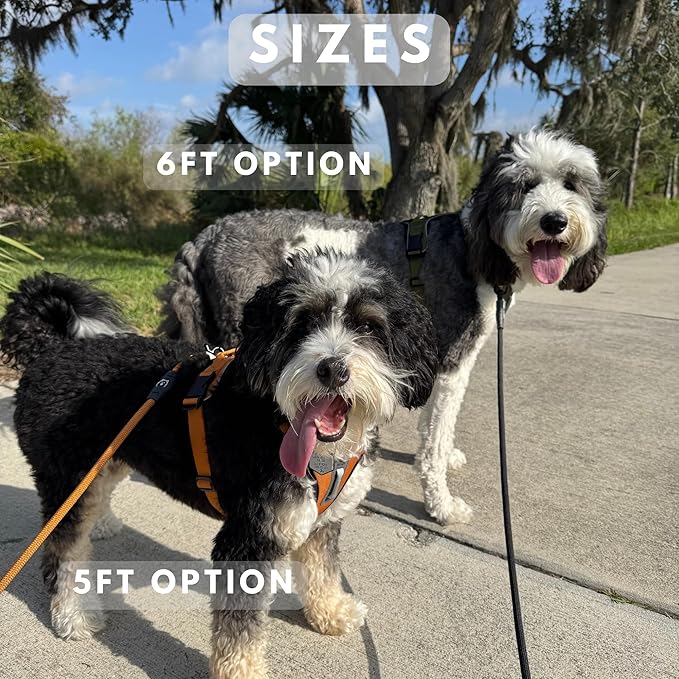 ShawnCo Basecamp Rope Dog Leash- Premium, Durable Pet Leash with Soft Neoprene Padded, Reflective Handle for Small, Medium and Large Dogs (Moonglow, 6 Feet)