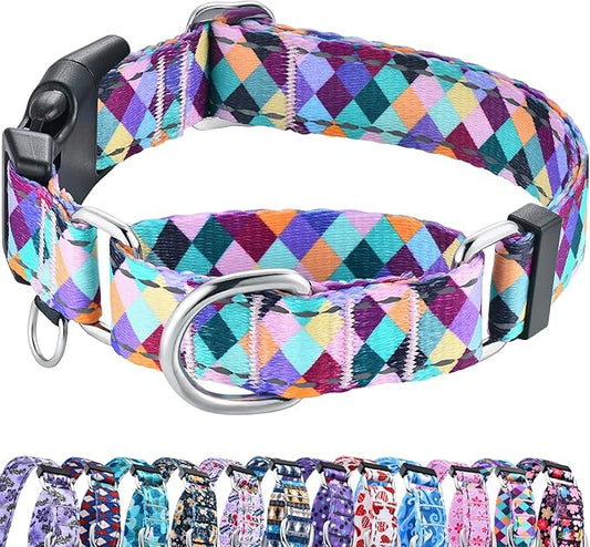 Reflective Martingale Collar for Dogs with Quick Release Buckle No Pull Training Dog Collars (Colorful Geometric, XSmall)