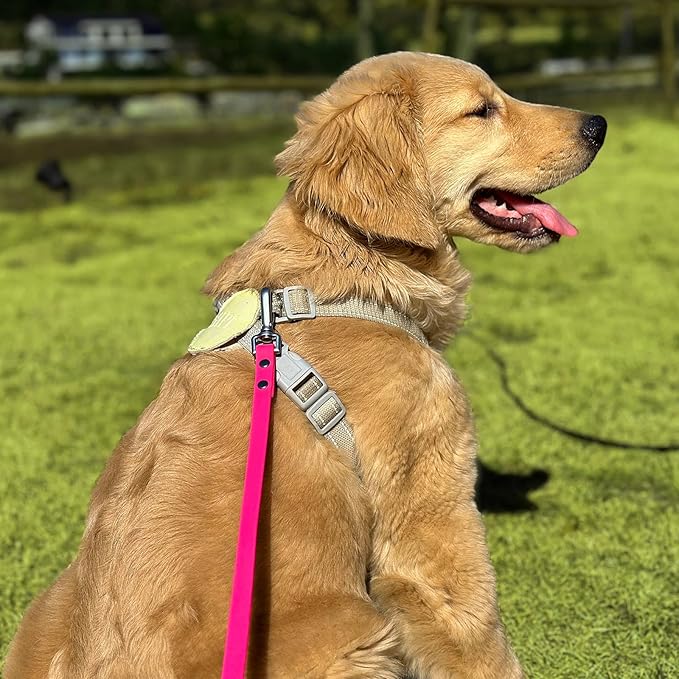 Dog Training Long Leash Waterproof Long Line Heavy Duty Outdoor Recall Lead 10ft 15ft 20ft 30ft 50ft for Small Medium Large Dog (Rose Pink, 50FT)