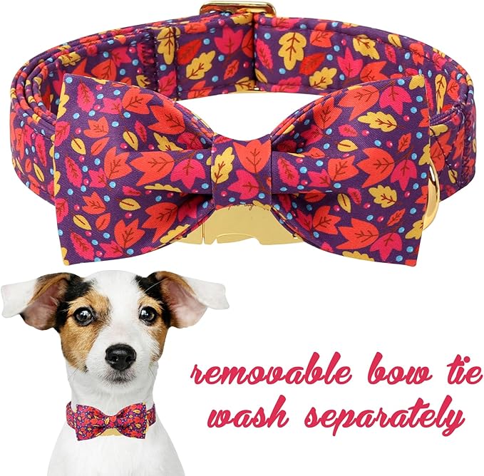 Unique style paws Cotton Dog Collar with Bow Autumn Puppy Collar with Colorful Maple Leaf for Small Medium Large Boys Girls Dogs
