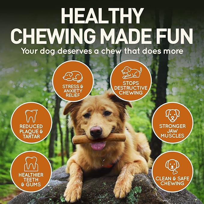 Wildfang® Coffee Wood Dog Chew, XXS – Tough Chew Toys for Aggressive Chewers, Dog Teething Toys for Puppies, Training for Chewing Muscles, Coffee Tree Sticks for XX-Small Dogs (Under 11 lbs)