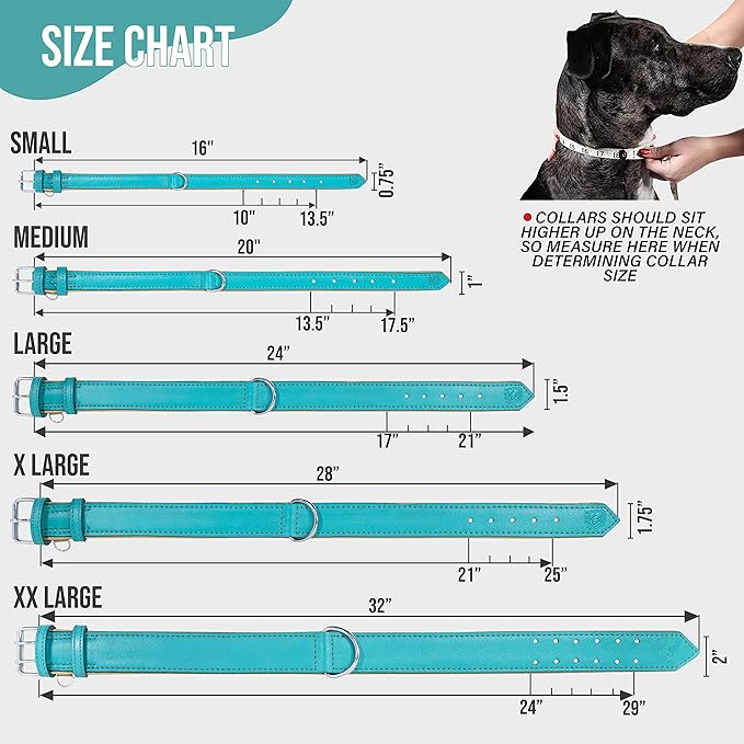 Riparo Dog Collars for Medium Dogs, Genuine Leather Dog Collar, Medium Dog Collar (M: 1" Wide for 13.5”-17.5” Neck, Aqua)