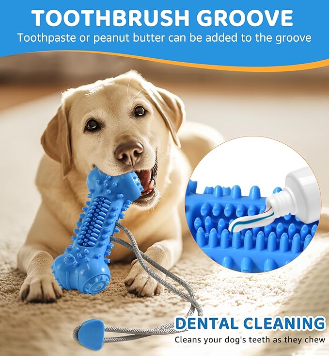 IPTPAS Dog Chew Toy for Aggressive Chewers, Durable Dental Cleaning Treat Toy, Food Dispensing Interactive Toy for Small, Medium & Large Dogs, Teeth Cleaning, Keep Busy, Tough Natural Rubber (Blue)