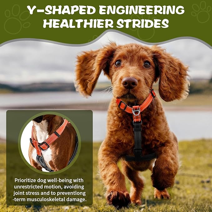 Dog Harness,Adjustable No Pull Dog Harness,Y-Shaped Design,Buckle-Neck Balance Harness with Reflective, Ideal for Dog Training Hiking, Easy Walk Harness,Durable High-Tensile Nylon-Orange-L