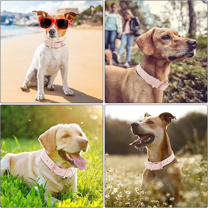 Wisedog Waterproof Dog Collar: Multiple Adjust 7" to 23.6", Soft Rubber Coated Webbing, Easy to Clean, for Small Medium Large Dogs (M|12"-16" × 4/5 in, Gossamer Pink)