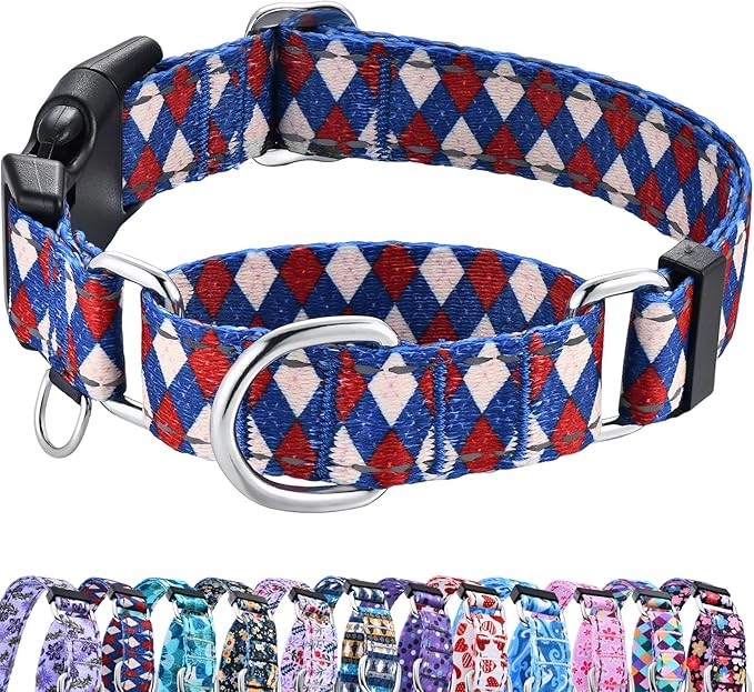 Reflective Martingale Dog Collar with Buckle Soft Nylon Geometric Patterns Pet Collars for Small Dogs (Argyle, S)