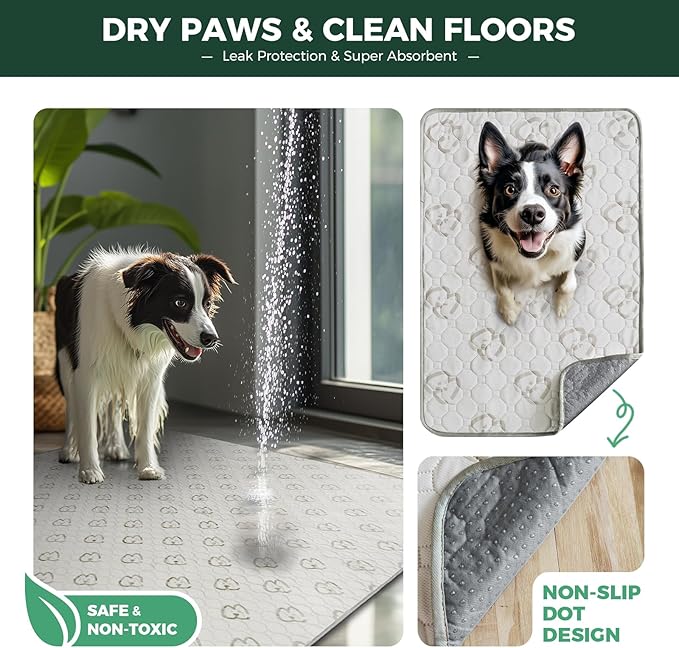 FXW Washable Pee Pads for Dogs, Leak-Proof & Non-Slip, Specifically Designed for Potty Training, Square, 39" x 39", 2 Packs