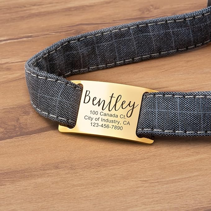 Anavia Slide On Silent Pet ID Tags, S/M/L/XL Personalized Gold Black Stainless Steel Customized Engraved Cat Dog Name Tags, Glossy Finish Chew-Proof Quiet Dog Collar Tag (Large, Black)