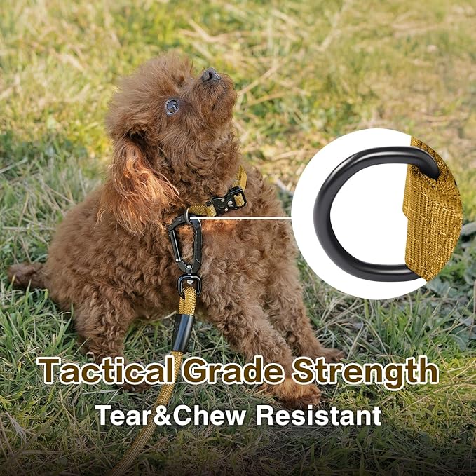 Dog Collars for Large Dogs, Heavy Duty Tactical Dog Collar with Metal Buckle, Durable Pet Collar Quick Release, Reinforced Nylon No Pull Dog Collar (Sunrise, L)